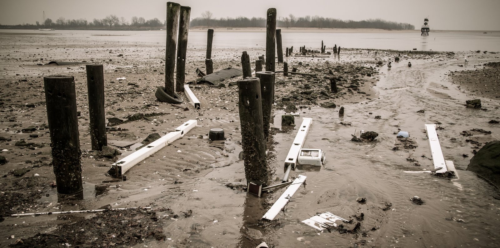 art-of-sandy-mo-staten island 2-82.jpg